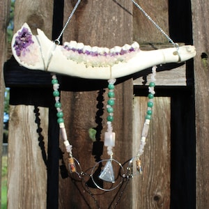 Jaw Bone Wall  Décor