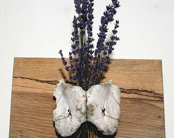 Bone Wall Decor