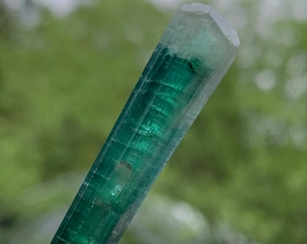 Long Green Tourmaline Rod Terminated Specimen