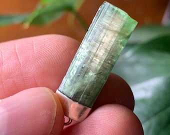 Green Tourmaline Terminated Crystal Pendant
