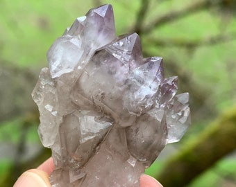 Montana Smoky Amethyst Elestial Scepter Crystal