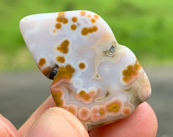 Ultra Rare Orbicular Old Stock Ocean Jasper Tumbled Specimen