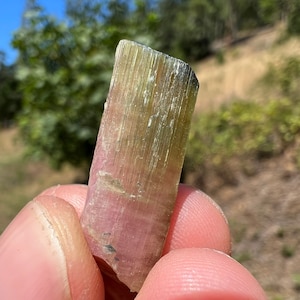 California Himalaya Mine Watermelon Bi Color Tourmaline Crystal