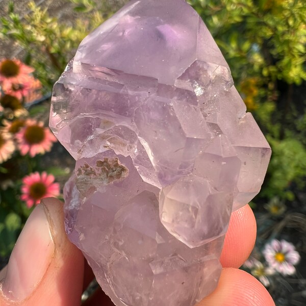 Sirius Elestial Hooded Scepter Amethyst Quartz Specimen from Baobab Mine in Kenya