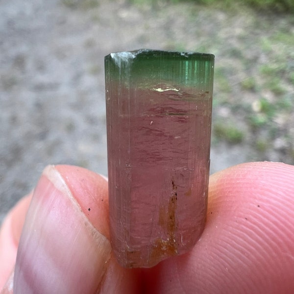 California Himalaya Mine Watermelon Bi Color Tourmaline Crystal