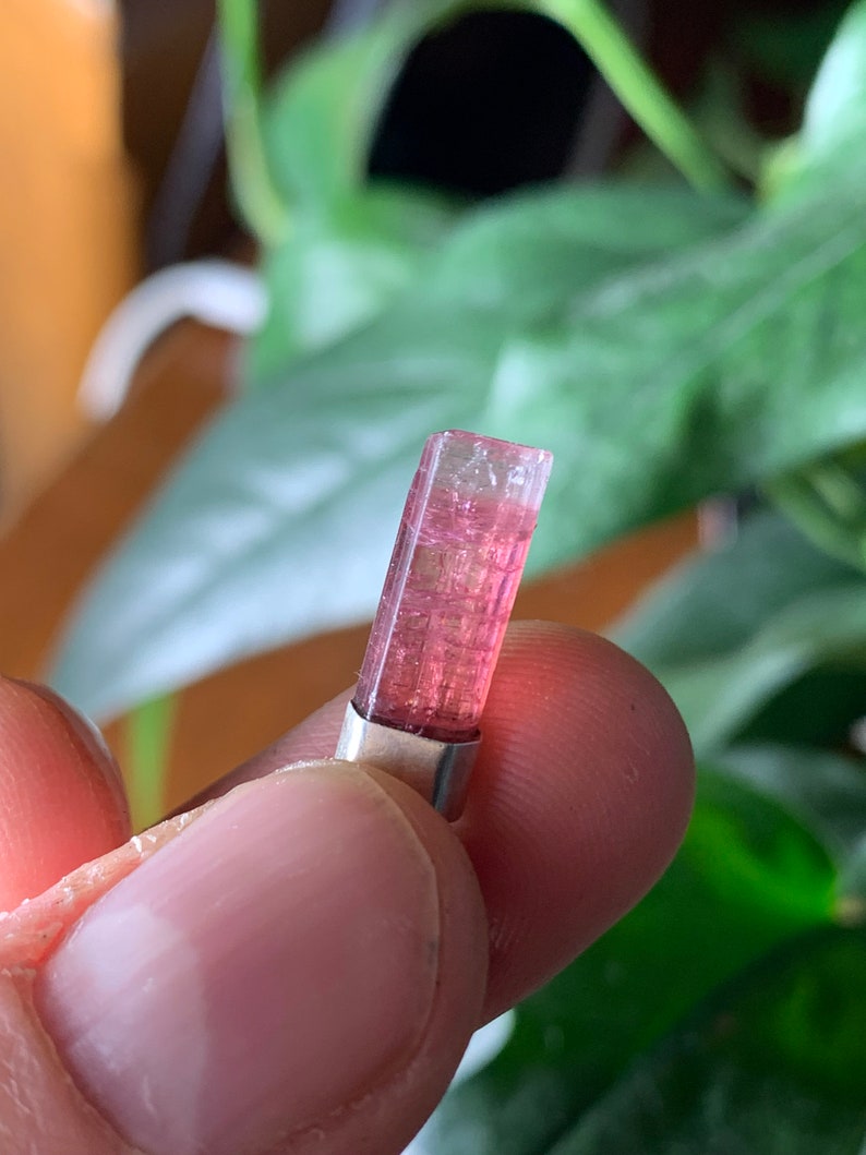 Op de afbeelding: Een kleine, langwerpige, doorschijnende roze toermalijn kristallen hanger met een helder, kleurloos bovengedeelte. De edelsteen is gezet in een eenvoudige, gladde, zilverkleurige metalen kap aan de basis, met een natuurlijke, prismatische en verticaal gestreepte textuur.