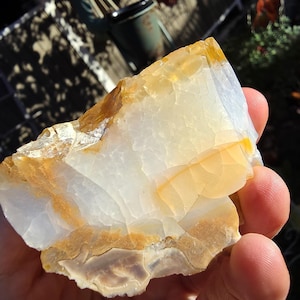 May include: A rough-cut, natural stone with a mix of colors. The stone features a base of white and cream with bands of golden yellow and brown. The stone is held in a hand, showcasing its natural texture and unique patterns.