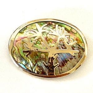 Abalone brooch