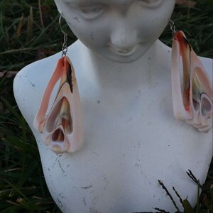 Handmade sea shell earrings #00E7