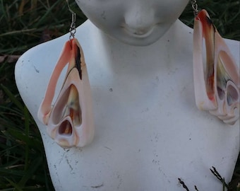 Handmade sea shell earrings #00E7