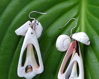 Handmade shell earrings #00E1