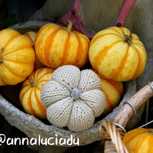 knitting pumpkin in 3 different sizes, knit in the round, knitting pattern, pumpkin amigurumi, knitting PDF Instant Download image 4