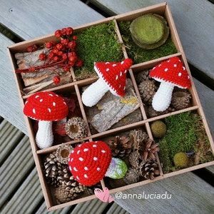 May include: A wooden box filled with moss, pine cones, and four crocheted red and white mushrooms. The box has a brown background and the mushrooms are arranged in the box.