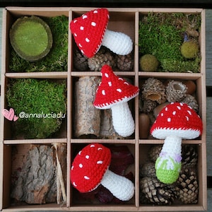May include: A wooden box with compartments filled with moss, acorns, and pine cones. Four crocheted red and white mushrooms with white stems are arranged in the box. The box has the text "@annaluciadu" written on the side.