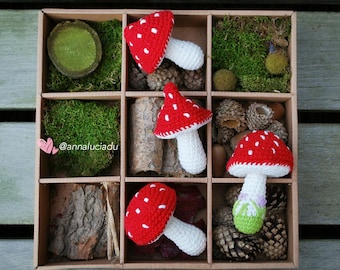 Op de afbeelding: Een houten doos met vakken gevuld met mos, eikels en dennenappels. Vier gehaakte rode en witte paddenstoelen met witte stelen zijn in de doos gerangschikt. De doos heeft de tekst "@annaluciadu" aan de zijkant.