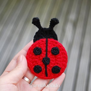Op de afbeelding: Een gehaakte lieveheersbeestje met een rood lichaam, zwarte stippen en zwarte antennes. Het lieveheersbeestje wordt in een hand gehouden.