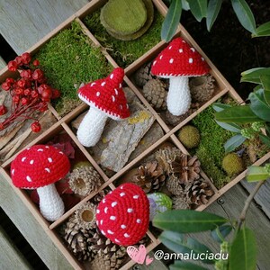 May include: Four crocheted red and white mushrooms with white stems are displayed in a wooden box with moss, pine cones, and other natural elements. The box has a brown background and the mushrooms are arranged in a grid pattern. The text "@annaluciadu" is visible in the bottom right corner of the image.