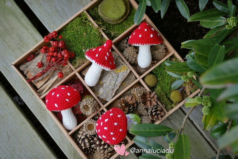 May include: Four crocheted red and white mushrooms with white stems are displayed in a wooden box with moss, pine cones, and other natural elements. The box has a brown background and the mushrooms are arranged in a grid pattern. The text "@annaluciadu" is visible in the bottom right corner of the image.