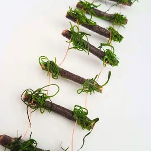 Fairy Twig Ladders 4 options: 6, 8, 10 or 12 RUNGS. Fairy Garden decor. Indoor / outdoor.    Handcrafted, sealed twigs, copper wire, moss.