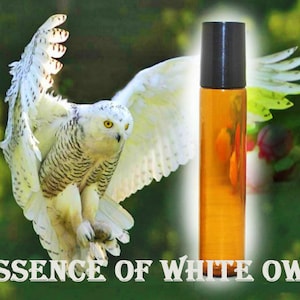 May include: A brown glass roller bottle with a black lid. The bottle is in front of a white snowy owl with its wings spread out. The text "ESSENCE OF WHITE OWL" is at the bottom of the image.