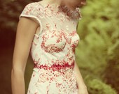 Beautifull lace dress with embroidery