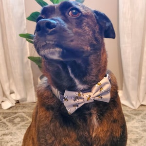 Bumble Bee Bow Tie, Dog Bow Tie, Cat Bow Tie image 2