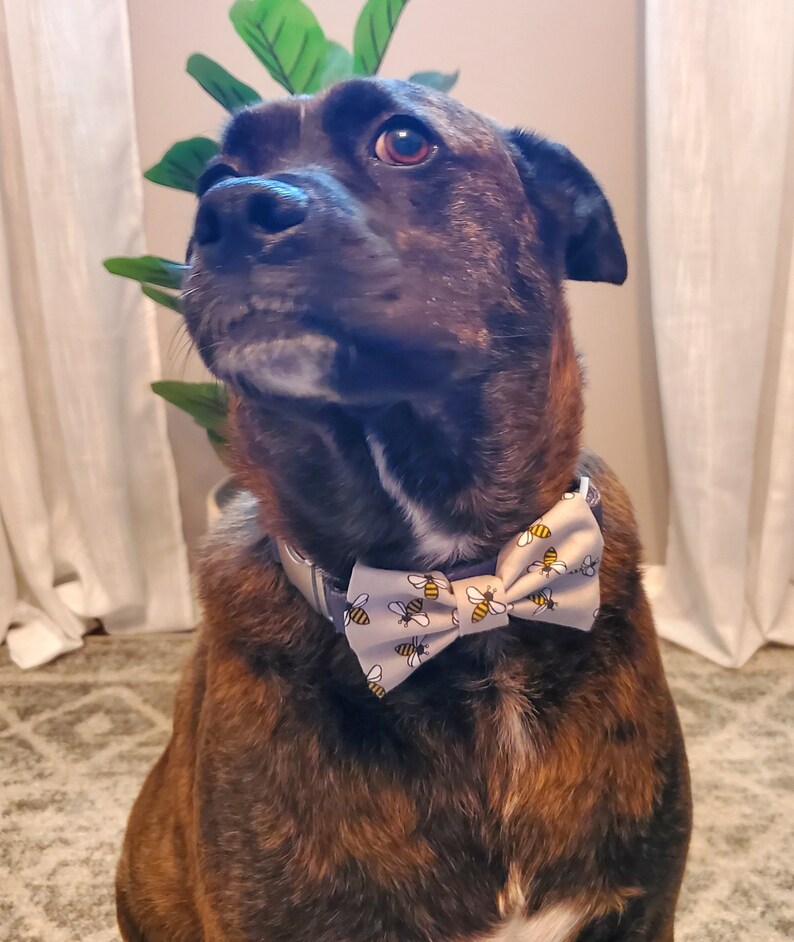 Bumble Bee Bow Tie, Dog Bow Tie, Cat Bow Tie image 2