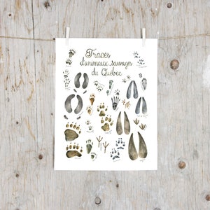 Animal Tracks Print Animal Tracks of the Woodland Printable Animal