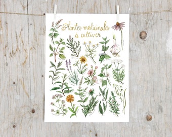 Print Medicinal Plants To Grow | Poster botanical paintings, Print medicinal plants, Herbalism | Gardening  | Alternative Medicine