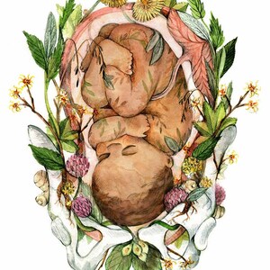 Print Blooming baby Poster Anatomical and Botanical painting Pregnancy Flowered Foetus Baby Shower, Child Birth, Doula, Midwife Foncé / Dark