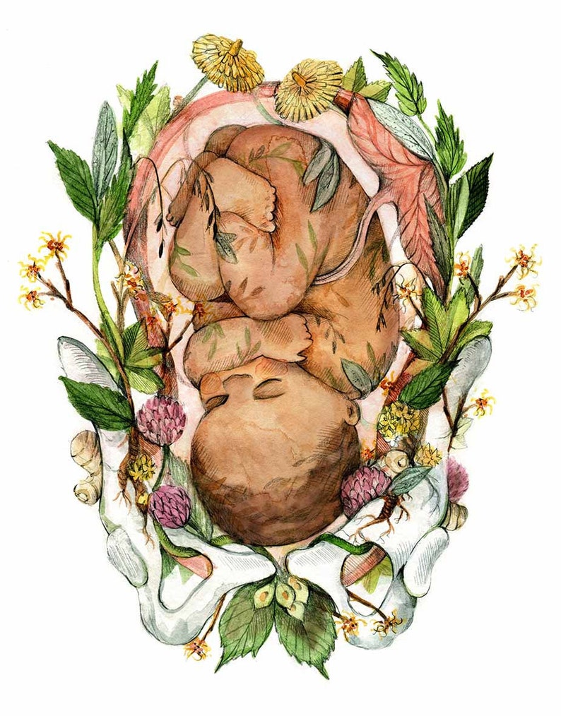 Print Blooming baby Poster Anatomical and Botanical painting Pregnancy Flowered Foetus Baby Shower, Child Birth, Doula, Midwife Foncé / Dark