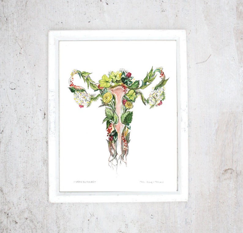 Print Uterus Poster Ovaries, Vagina, Vulva, Flowers Botanical paintings, Print medicinal plants Herbalism Menstrual period Pregnancy image 1