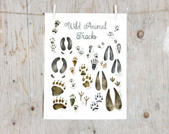 Print Wild Animal Tracks | Watercolor painting | Art mural Identification Print | Poster identification classification | Gift hunter trapper