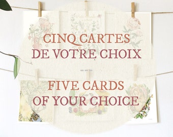 Five greeting cards | Pack of five greeting cards from Mathilde Cinq-Mars | Blank Cards | All occasion Cards