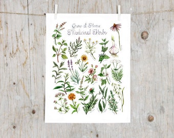 Grow-at-Home Medicinal Herbs Print | Botanical Poster | Medicinal plants painting | Herbalism Gardening Witchcraft  | Alternative Medicine