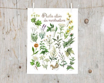 Print herbal remedies for menstruation  | Poster botanical painting | Medicinal plants flowers for period, Herbalism, witch, sexual health