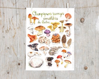 Print Edible Wild Mushroom | Mushroom print | Botanical kitchen art | kitchen cabin decor | Educational English poster | Mycology gift