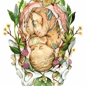 Print Blooming baby Poster Anatomical and Botanical painting Pregnancy Flowered Foetus Baby Shower, Child Birth, Doula, Midwife Pâle / Light