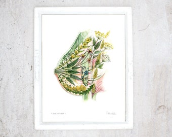 Print Blooming Breast | Poster anatomical and botanical boards, medicinal plants | Breastfeeding Feeding | Breast Cancer | Bosom boobs