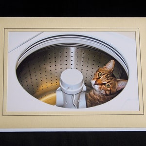 Cat in Washing Machine Greeting Card-Spring Cleaning Cat Card-All Occasion Card for Cat Lovers