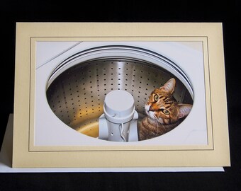 Chat dans la machine à laver Carte de vœux-Nettoyage de printemps Carte de chat - Carte d’occasion pour les amoureux des chats