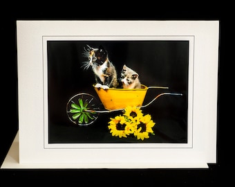 Summer Kitten Card-Kittens in Wheelbarrow-All Occasion Greeting Card for Cat Lovers