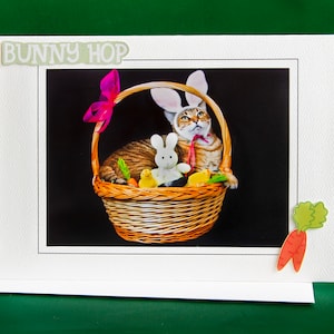 Carte de chat de Pâques-Chat portant des oreilles de lapin-Carte de vœux de vacances pour les amoureux des chats