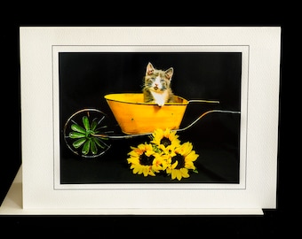 Summer Kitten Card-Kitten in Wheelbarrow-All Occasion Greeting Card for Cat Lovers