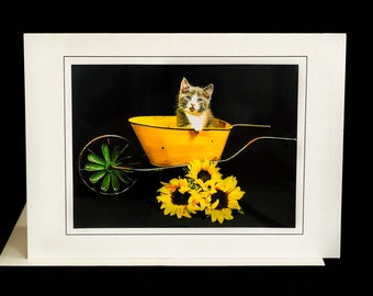 Carte de chaton d’été-chaton dans une brouette-carte de vœux pour toutes les occasions pour les amoureux des chats