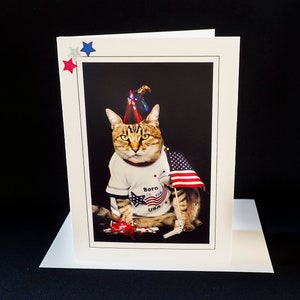 Quatrième juillet Carte de chat-Chat agitant un drapeau-Carte de vœux de Noël pour les amoureux des chats