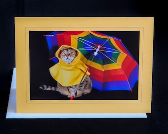 Carte de voeux chat pour les jours de pluie - Chat portant un imperméable - Carte de voeux pour les amoureux des chats