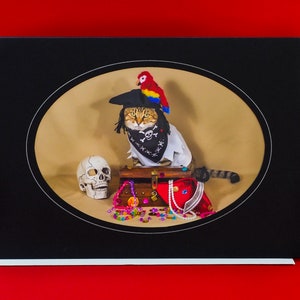 Pirate Cat Card-Cat in Pirate Costume-All Occasion Carte de vœux pour les amoureux des chats
