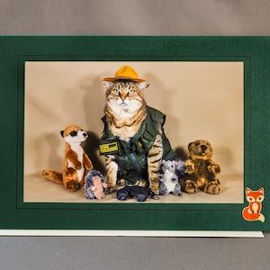 Park Ranger Cat Card-Cat Wearing Ranger Uniform-All Occasion Carte de vœux pour les amoureux des chats