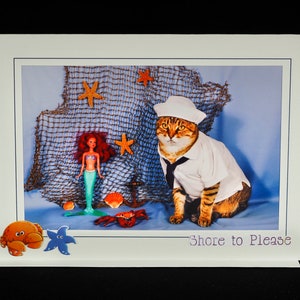 US Navy Cat Card-Sailor Cat-All Occasion Carte de vœux vierge pour les amoureux des chats